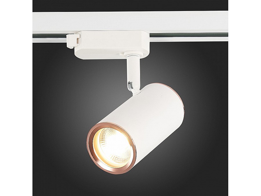 Светильник на штанге ST-Luce Cromi ST301.526.01
