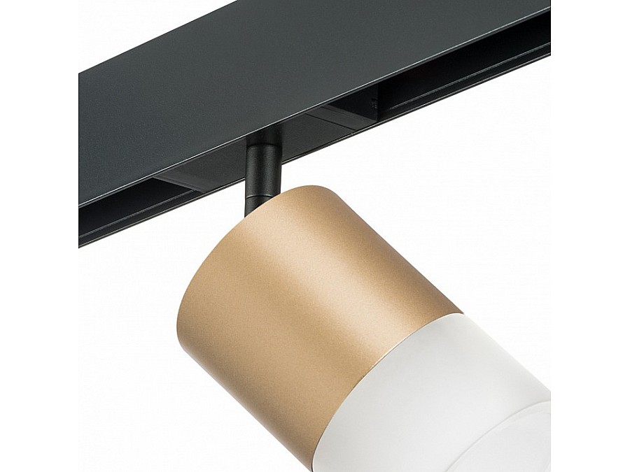 Светильник на штанге Lightstar Rullo PRO349081