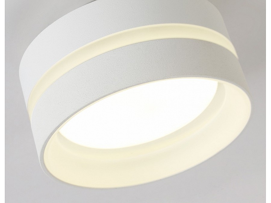 Накладной светильник Ambrella TN TN5419