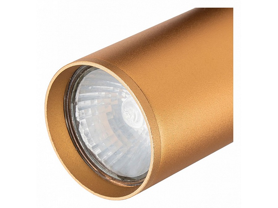 Светильник на штанге Escada 20001 20001TRA/01 BR