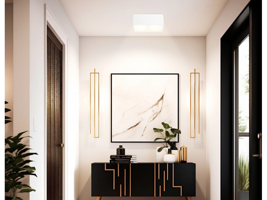 Накладной светильник Ambrella Light TN TN6534