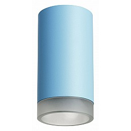 Накладной светильник Lightstar Rullo R43530