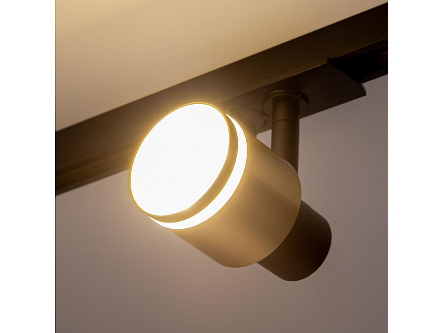 Светильник на штанге Citilux Bruno CL565T14