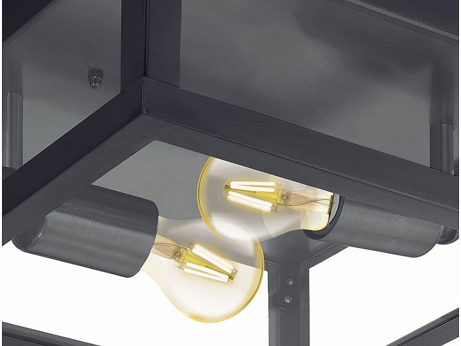 Накладной светильник Eglo Alamonte 1 94832