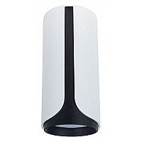 Накладной светильник Arte Lamp Pino A7376PL-1WH