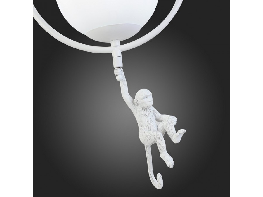 Подвесной светильник EVOLUCE Tenato SLE115113-01