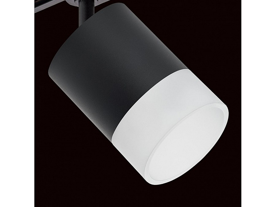 Светильник на штанге Lightstar Rullo R1T348781