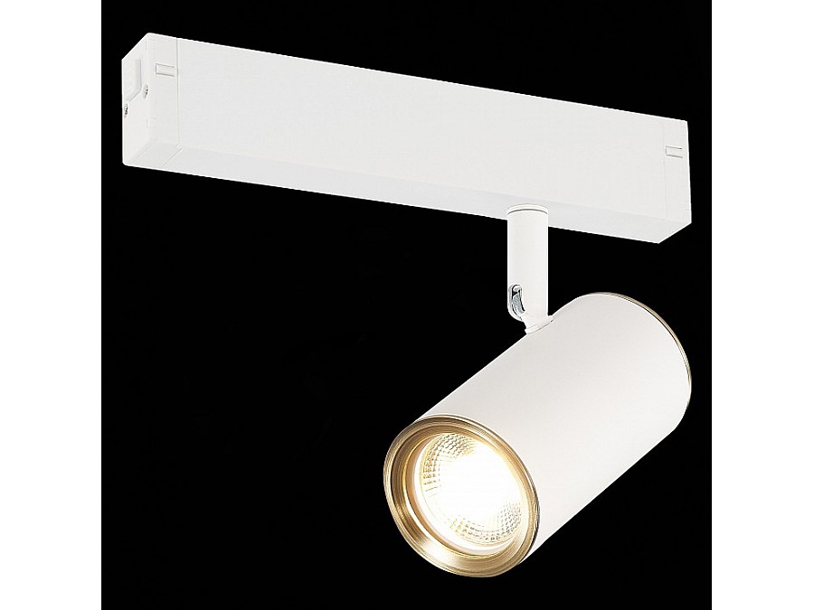 Светильник на штанге ST-Luce SKYLINE 220 ST504.536.01