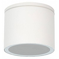 Накладной светильник Arte Lamp Piautos A1913PF-1WH