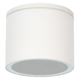 Накладной светильник Arte Lamp Piautos A1913PF-1WH