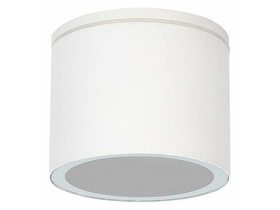 Накладной светильник Arte Lamp Piautos A1913PF-1WH