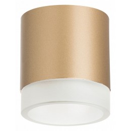 Накладной светильник Lightstar Rullo R349080