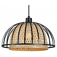 Подвесной светильник Arte Lamp Woodstock A7071SP-1BK