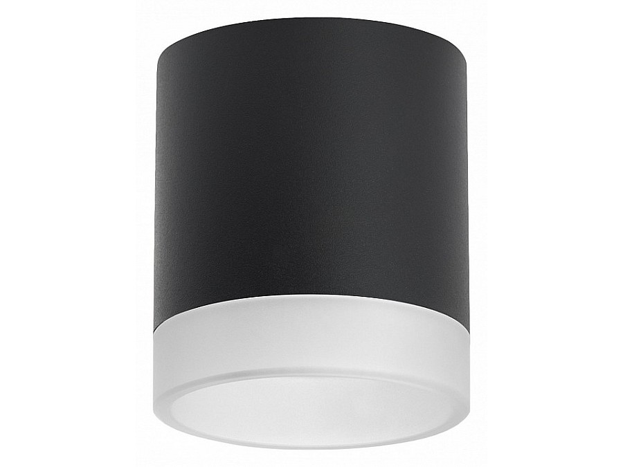 Накладной светильник Lightstar Rullo R348780