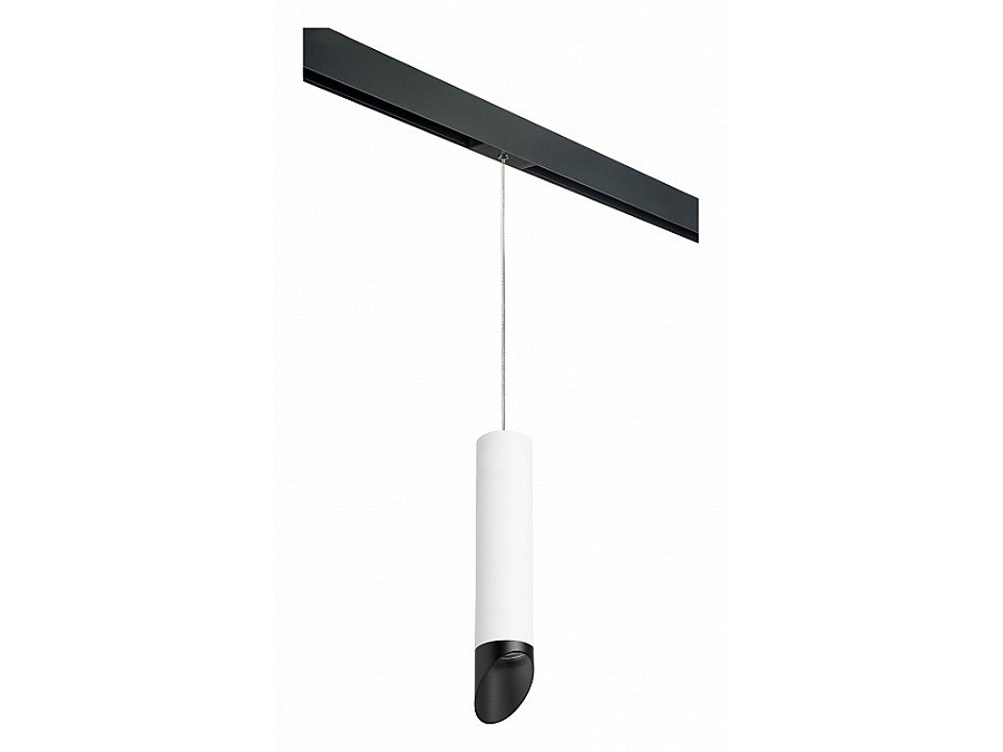 Подвесной светильник Lightstar Rullo PRORP49637