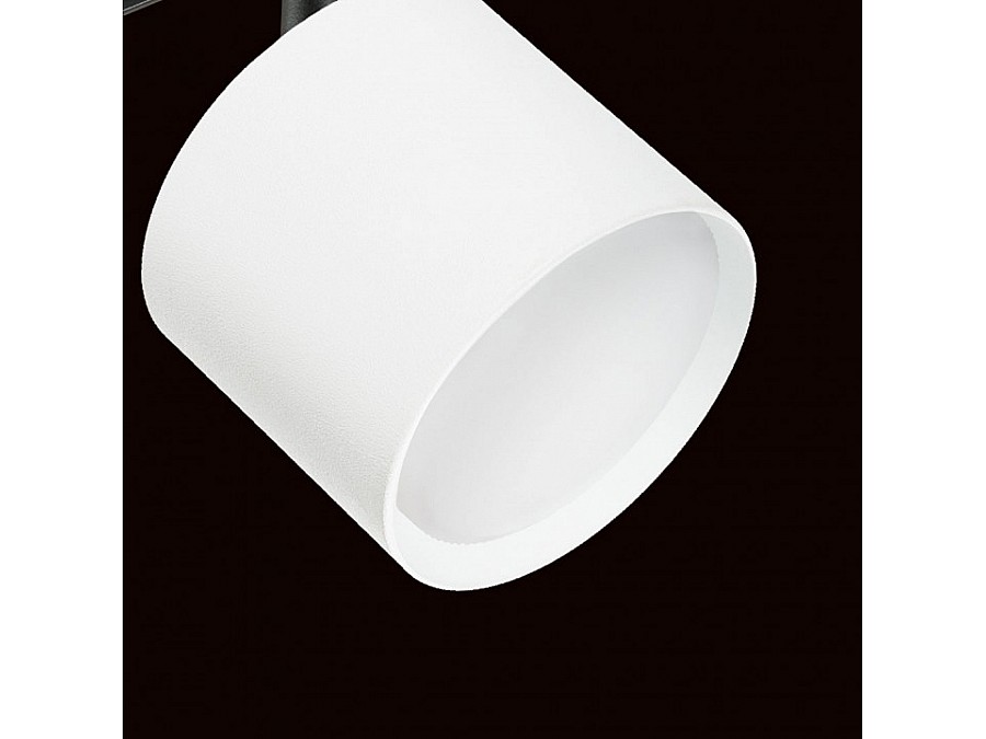 Светильник на штанге Lightstar Rullo PRO3486