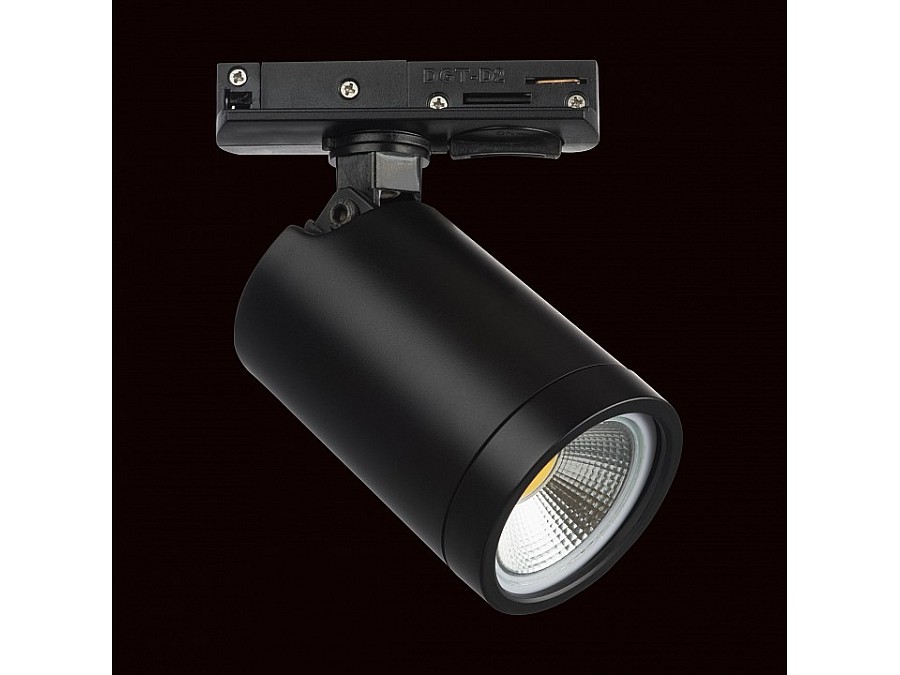 Светильник на штанге Lightstar Rullo 212937