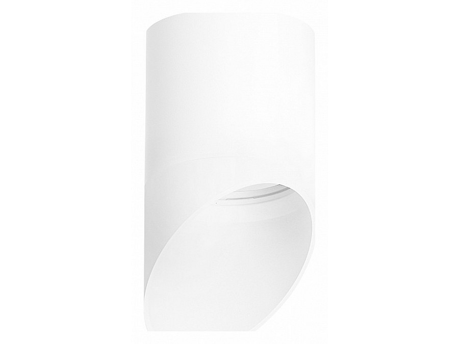 Накладной светильник Lightstar Rullo R348686
