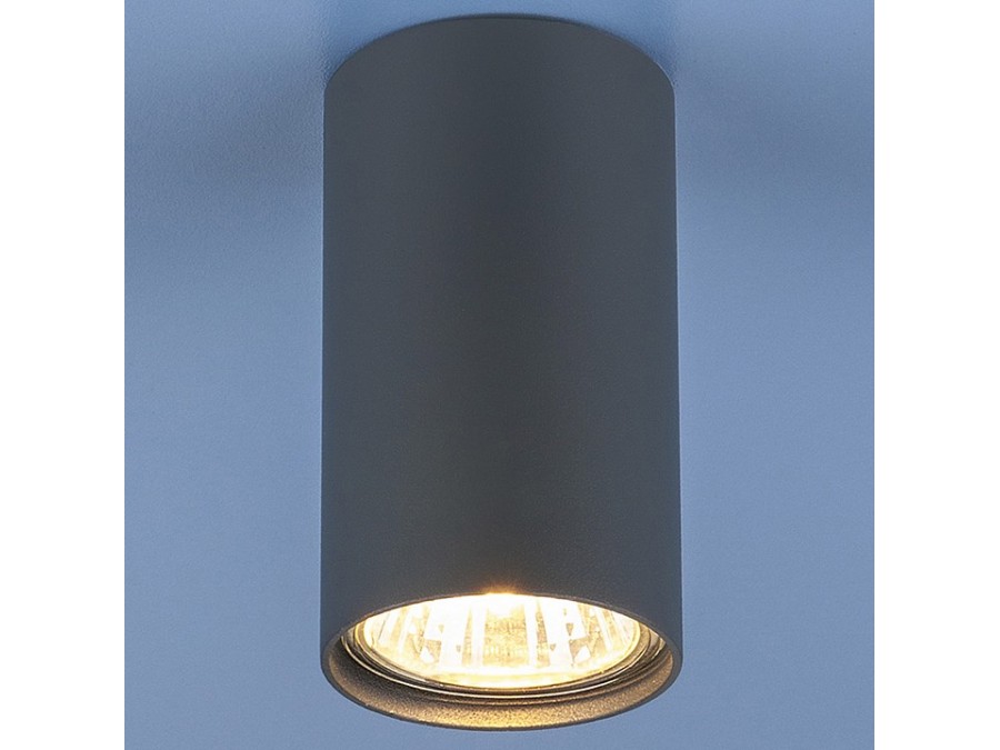 Накладной светильник Elektrostandard 1081 a038615