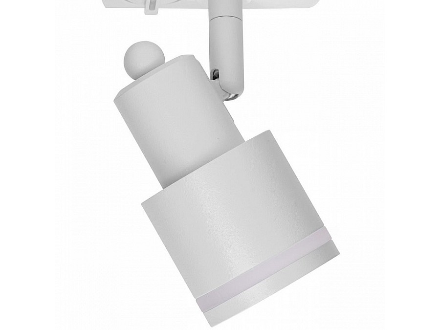 Светильник на штанге Citilux Bruno CL565T10