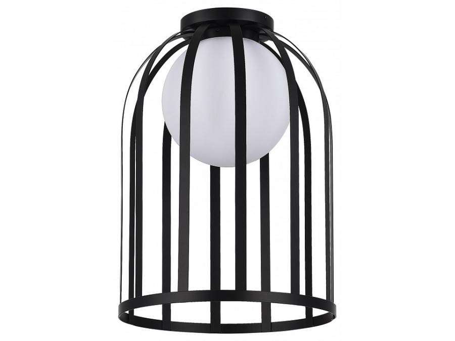 Накладной светильник ST-Luce Nordic SL6129.402.01