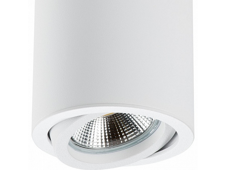 Накладной светильник Lightstar Rullo 214406