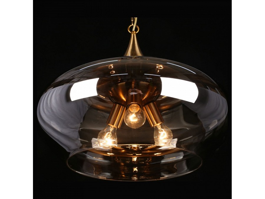 Подвесной светильник Aployt Franko APL.601.16.03