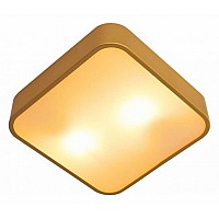 Накладной светильник Arte Lamp Cosmopolitan A7210PL-2GO