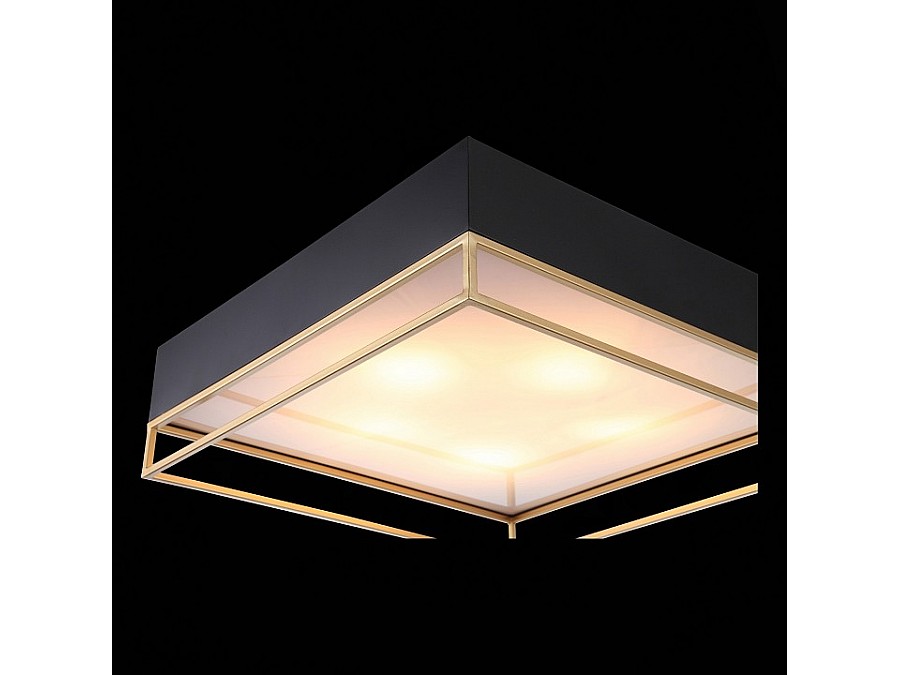 Накладной светильник ST-Luce Chodo SL1127.422.05