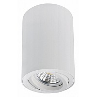 Накладной светильник Arte Lamp Sentry A1566PL-1WH