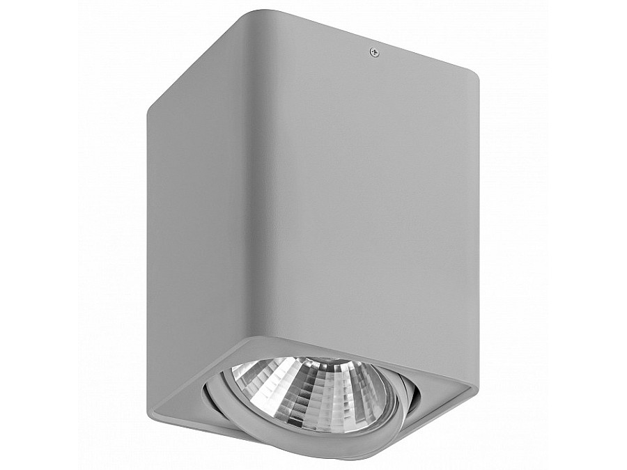 Накладной светильник Lightstar Monocco 212639
