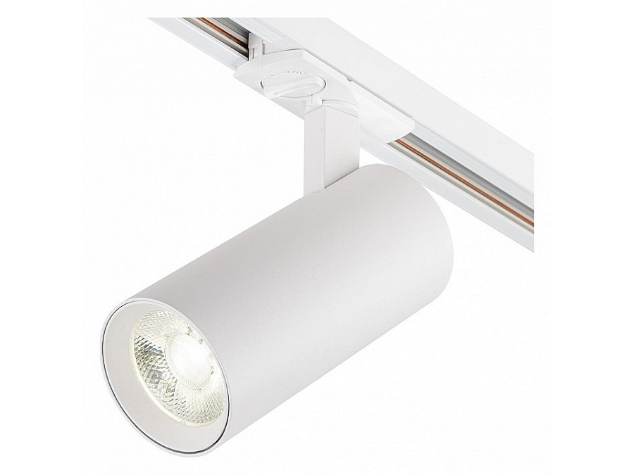 Светильник на штанге Escada 20002 20002TRA/04LED SWH