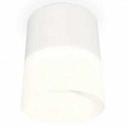 Накладной светильник Ambrella Light XS XS8110002