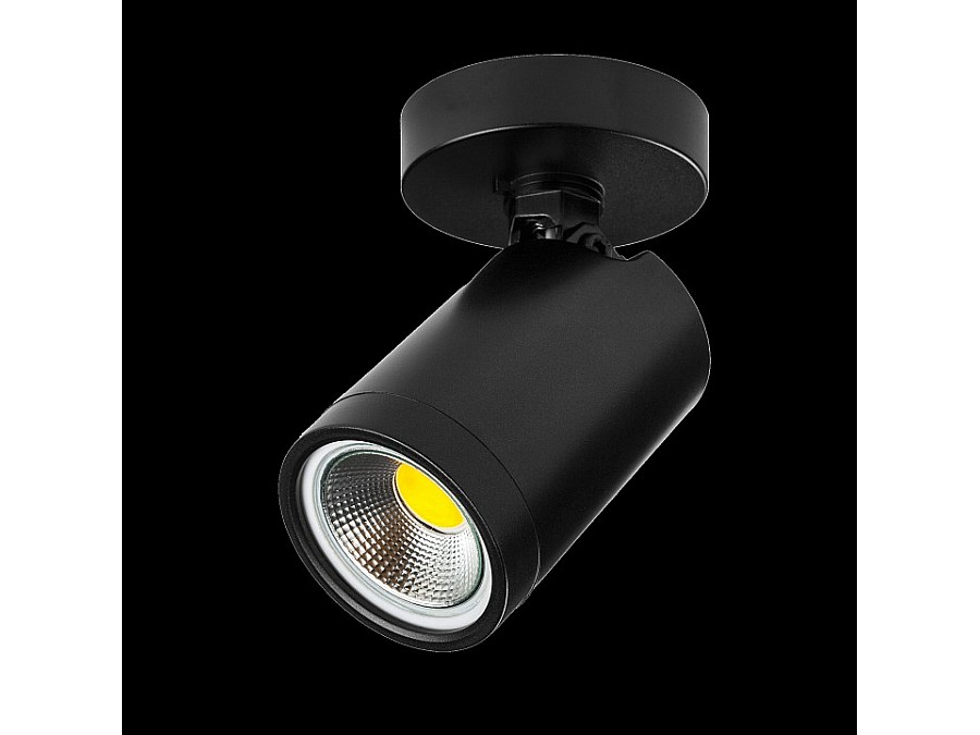 Светильник на штанге Lightstar Rullo 213407