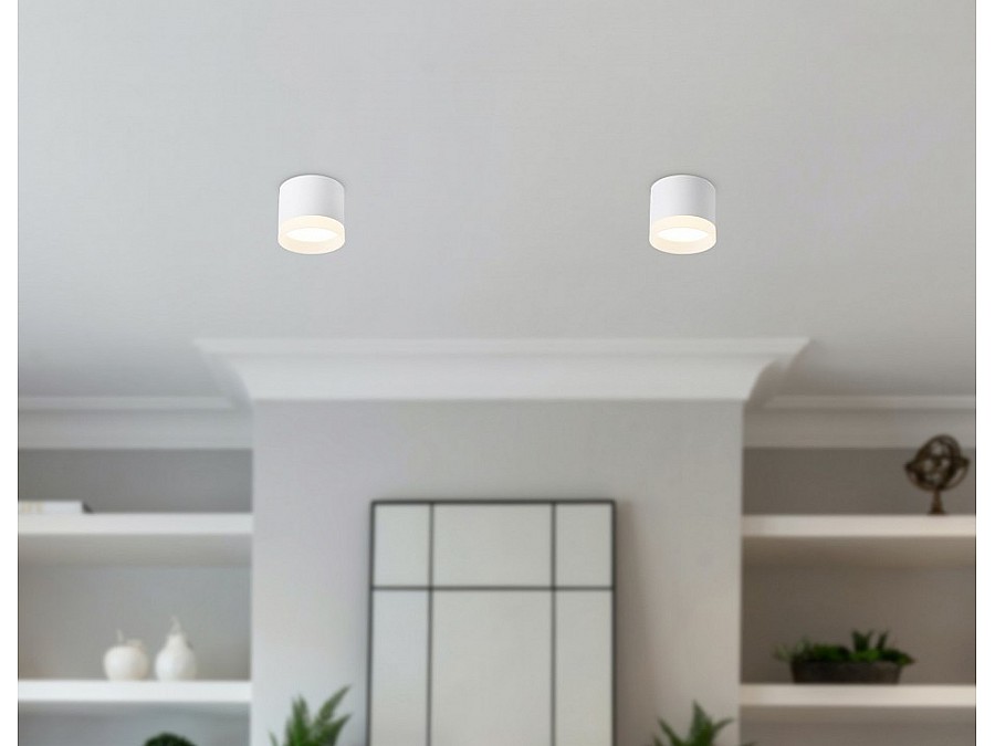 Накладной светильник Ambrella Light TN TN5365