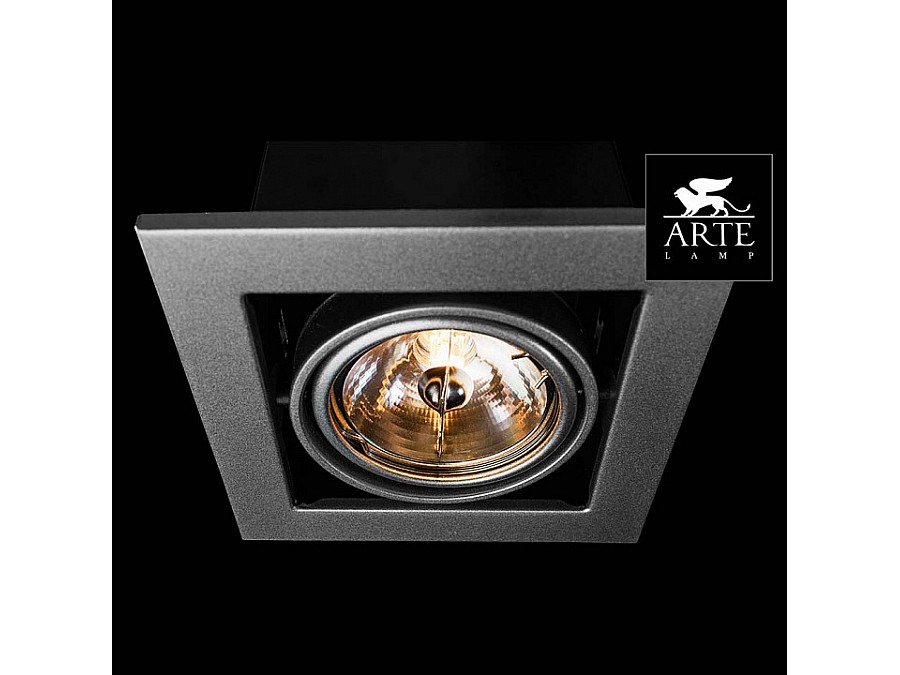 Встраиваемый светильник Arte Lamp Technika 2 A5930PL-1SI