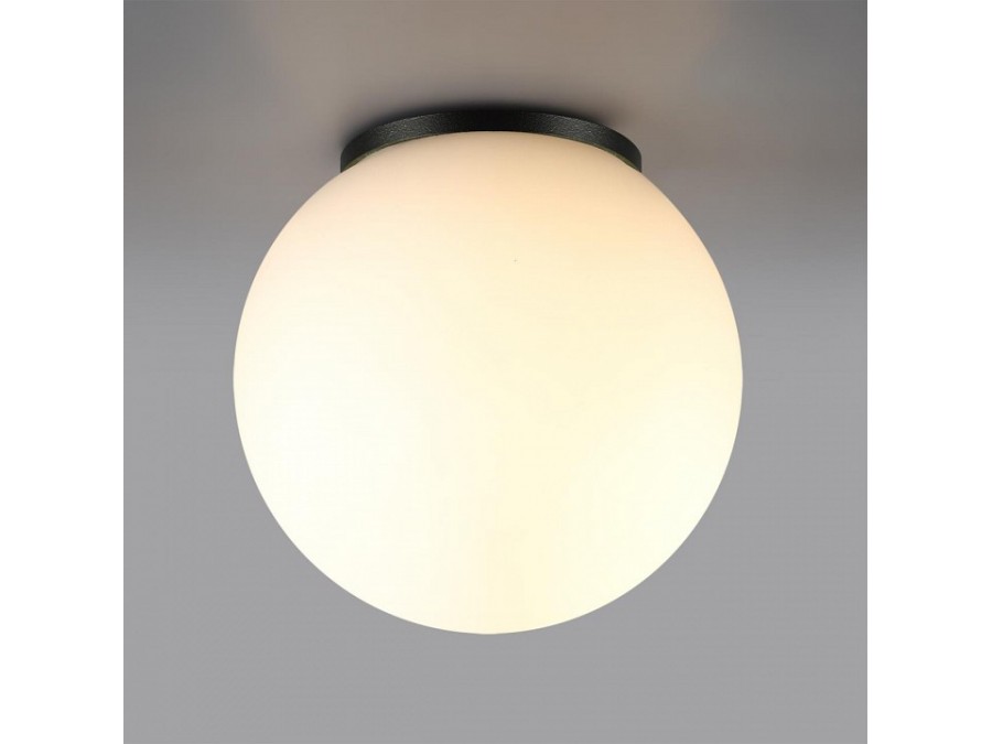 Накладной светильник Odeon Light NATURE 7124/1C