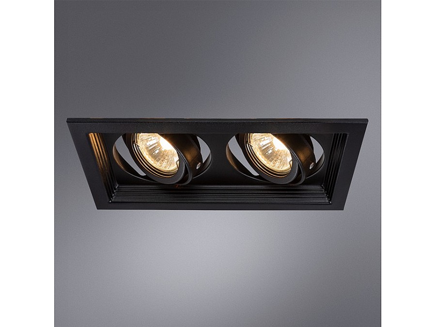Встраиваемый светильник Arte Lamp Canis A6661PL-2BK
