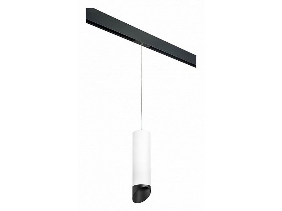 Подвесной светильник Lightstar Rullo PRORP649687