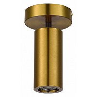 Светильник на штанге ST-Luce Talia SL1215.402.01