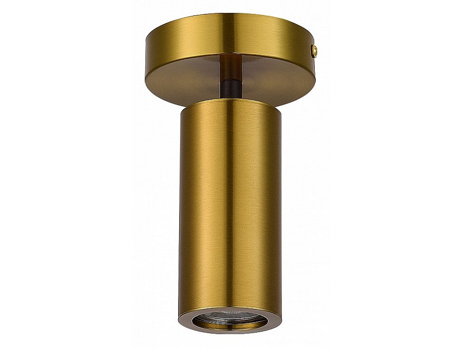 Светильник на штанге ST-Luce Talia SL1215.402.01