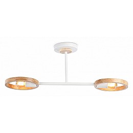 Светильник на штанге Ambrella Light TR TR8243