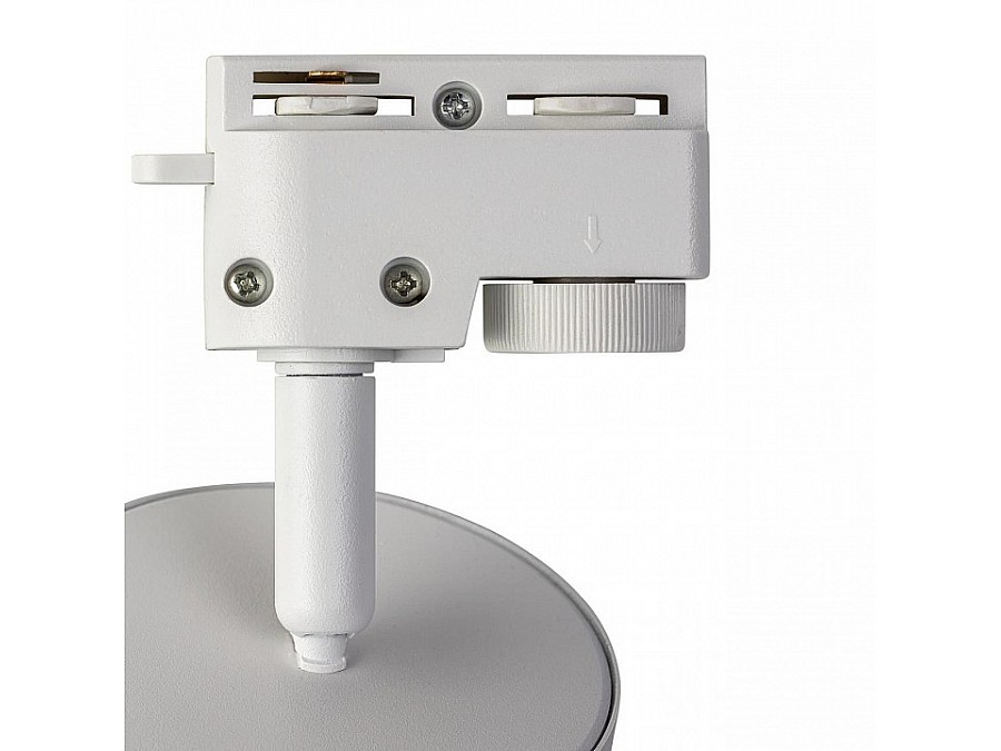 Светильник на штанге Citilux Hardy CL002T10