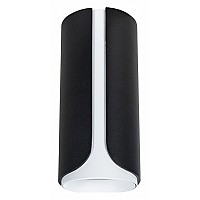 Накладной светильник Arte Lamp Pino A7376PL-1BK