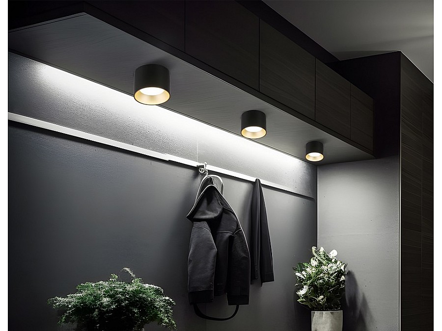 Накладной светильник Ambrella Light TN TN52887