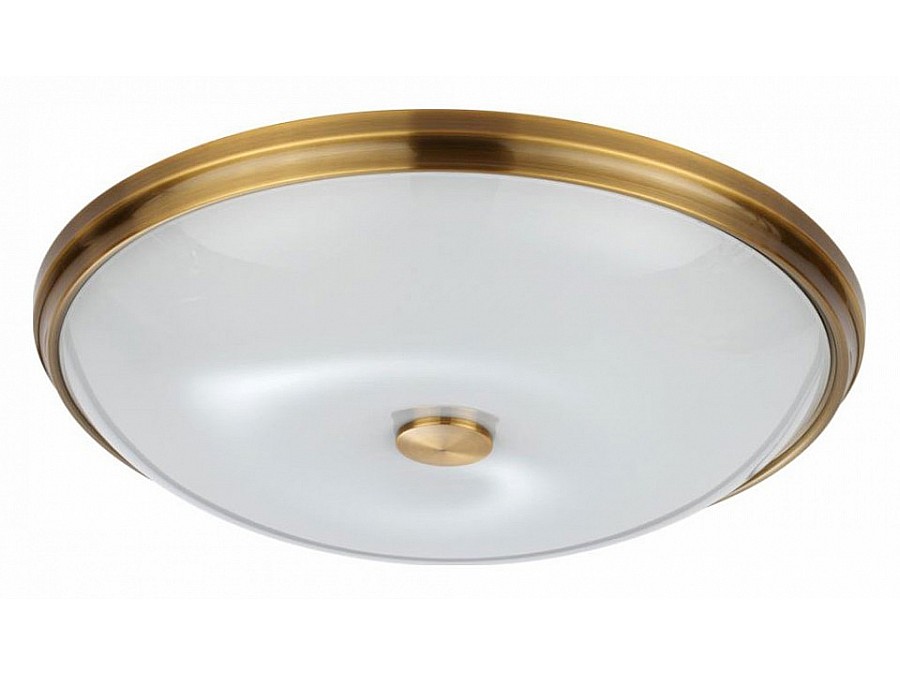 Накладной светильник Odeon Light Pelow 4956/5