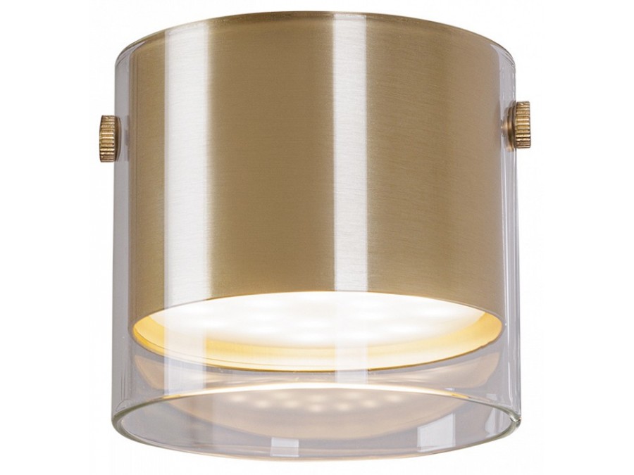 Накладной светильник Arte Lamp Lazio A5366PL-1SG