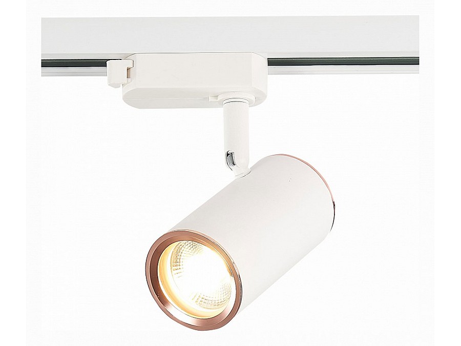 Светильник на штанге ST-Luce Cromi ST301.526.01