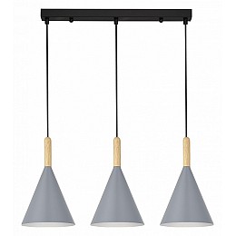 Подвесной светильник EVOLUCE Arket SLE1255-413-03