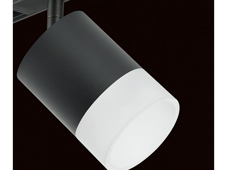 Светильник на штанге Lightstar Rullo PRO348781